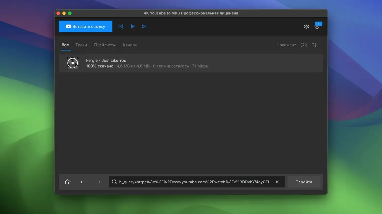 4K YouTube to MP3 — closer look 4 4K YouTube to MP3 view 4 on macOS