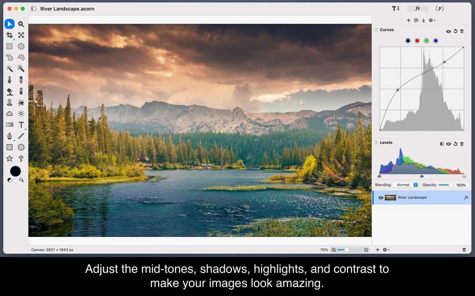 Acorn — closer look 3 Acorn view 3 on macOS