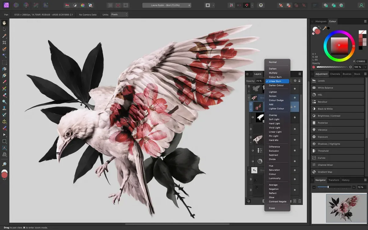 Affinity Photo — closer look 2 Affinity Photo view 2 on macOS