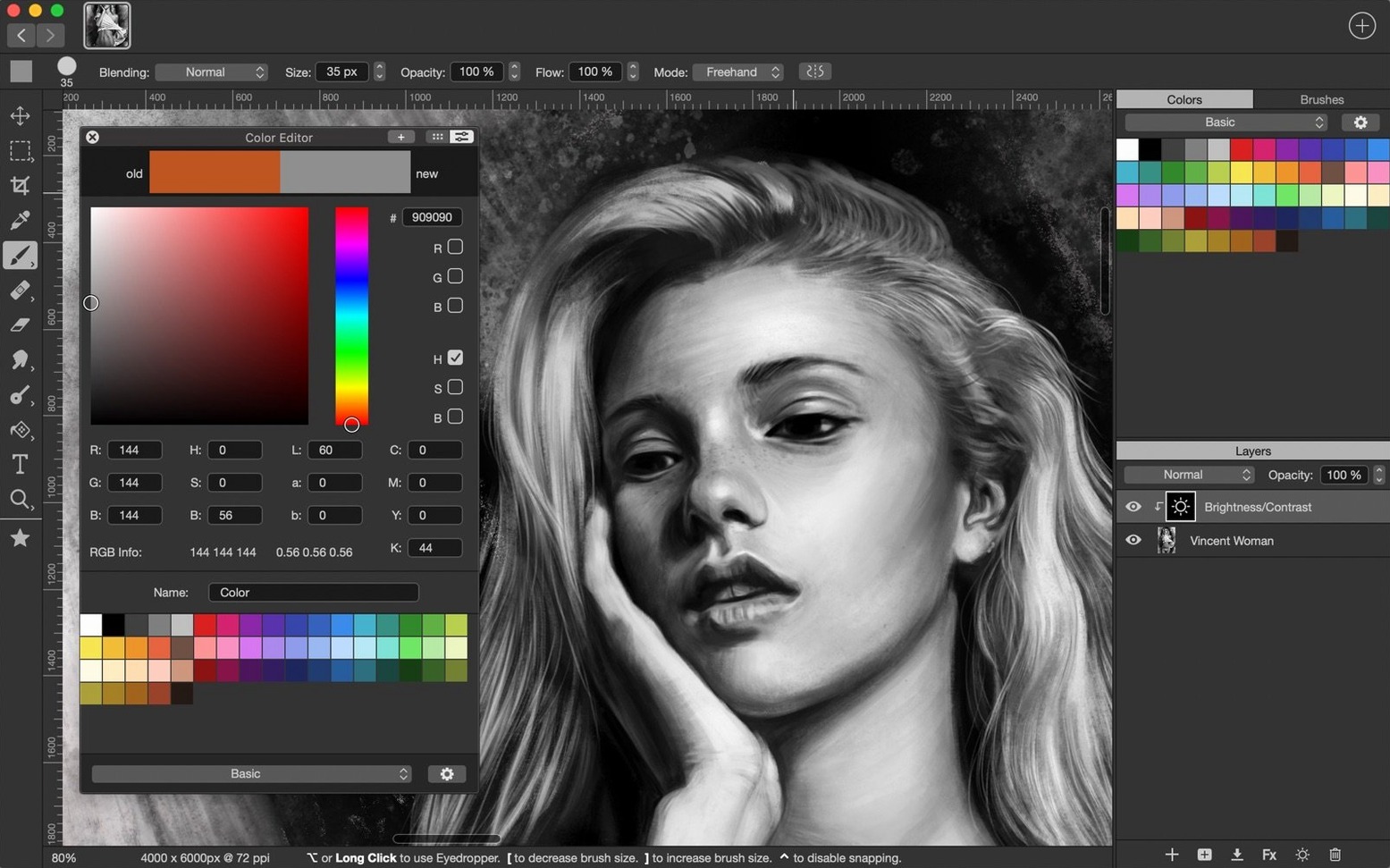 Artstudio Pro — closer look 2 Artstudio Pro view 2 on macOS