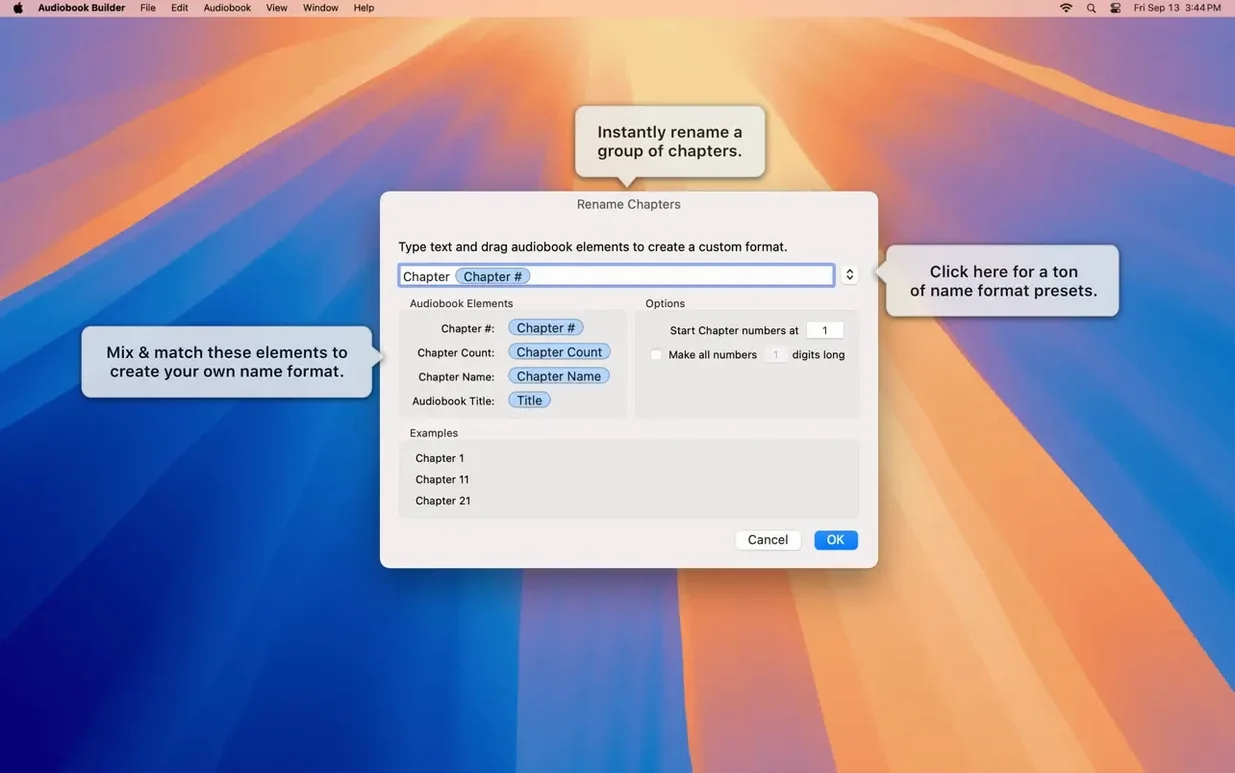 Audiobook Builder — closer look 5 Audiobook Builder view 5 on macOS