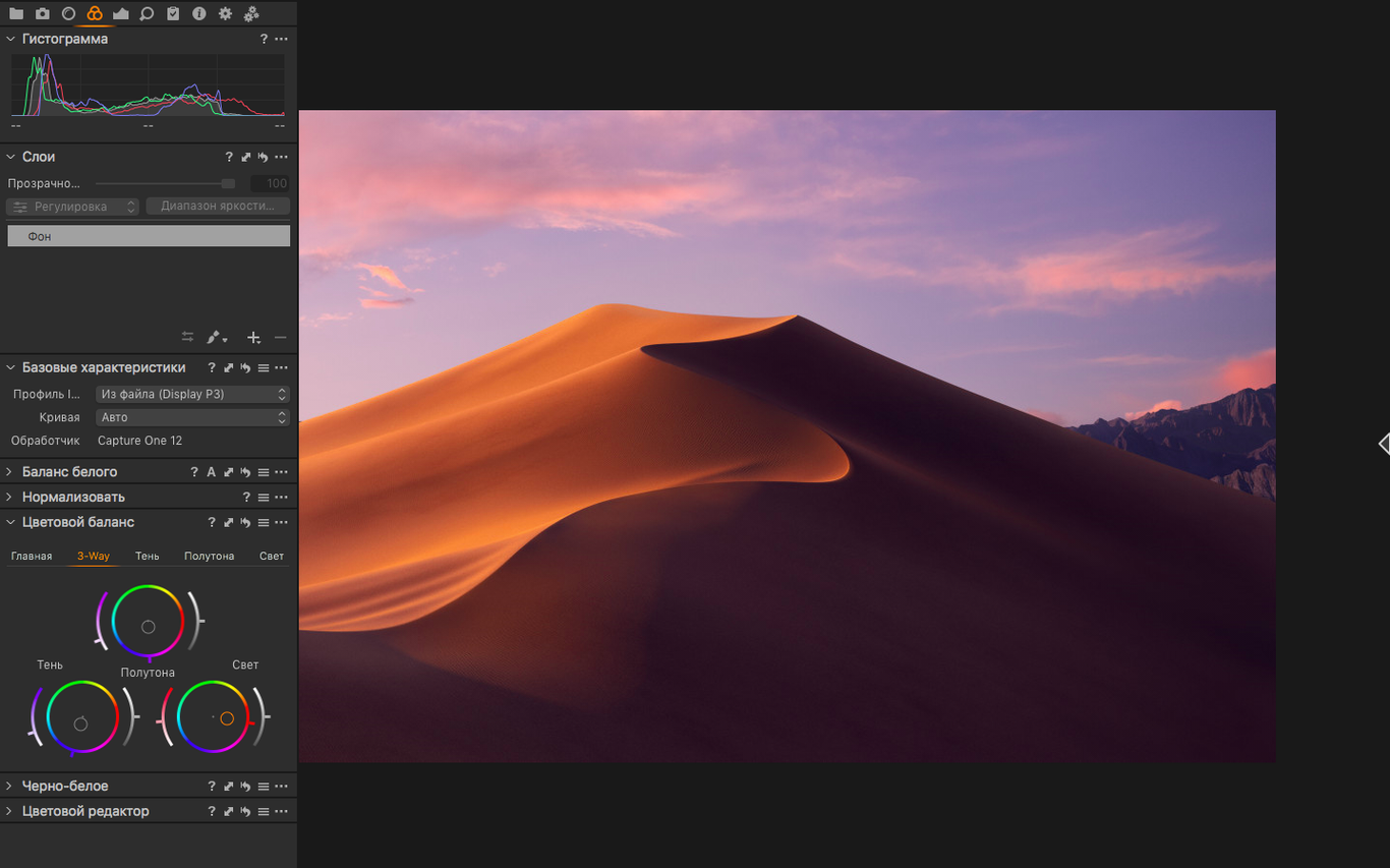Capture One — closer look 2 Capture One view 2 on macOS