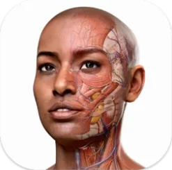 Complete Anatomy icon artwork