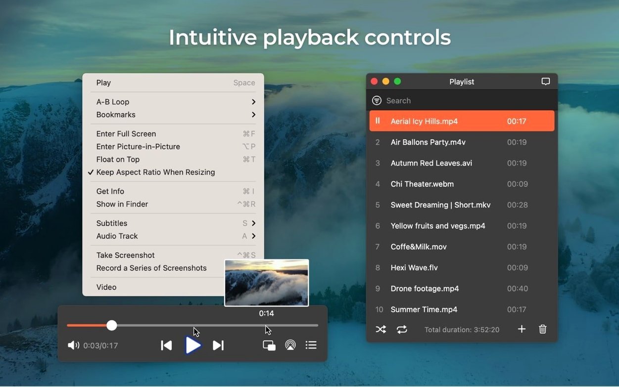 Elmedia Player Pro — closer look 2 Elmedia Player Pro view 2 on macOS