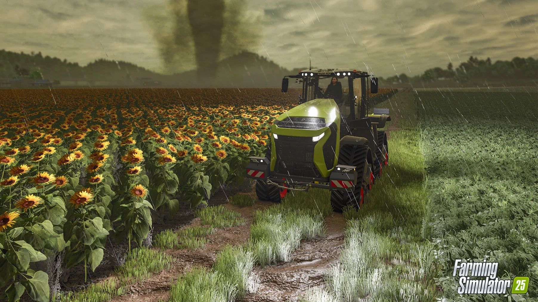 Farming Simulator 25 — closer look 3 Farming Simulator 25 view 3 on macOS