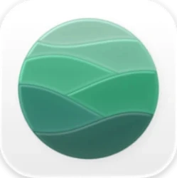 Flow - Focus & Pomodoro Timer Dock icon