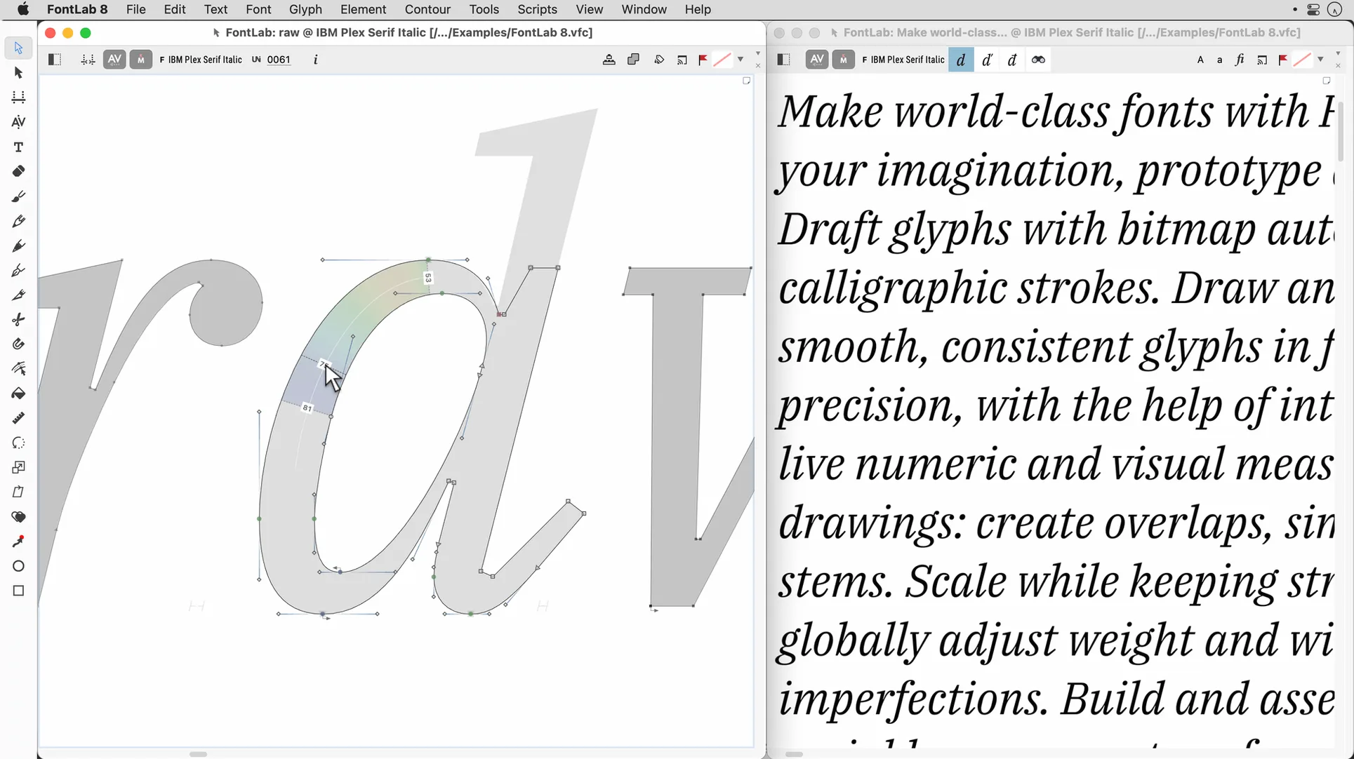 FontLab showcase 3 FontLab capture 3