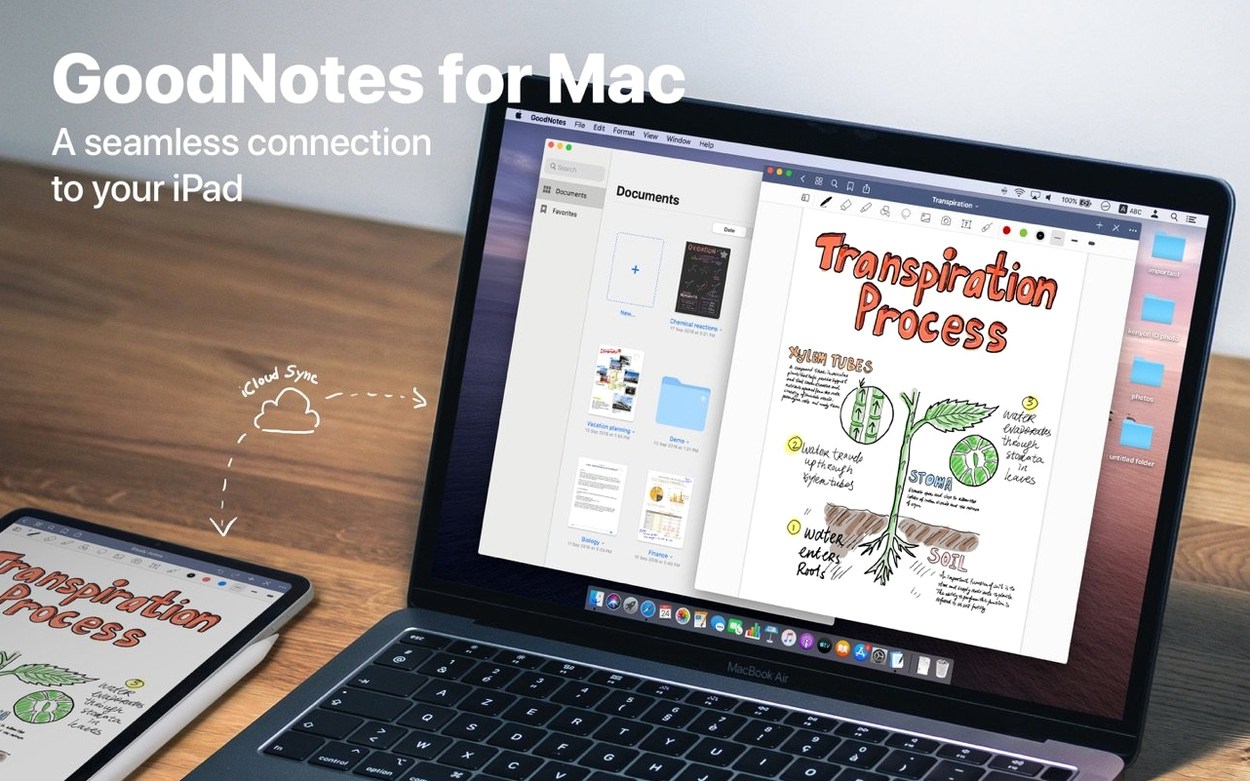 GoodNotes — closer look 1 goodnotes torrent — screen capture