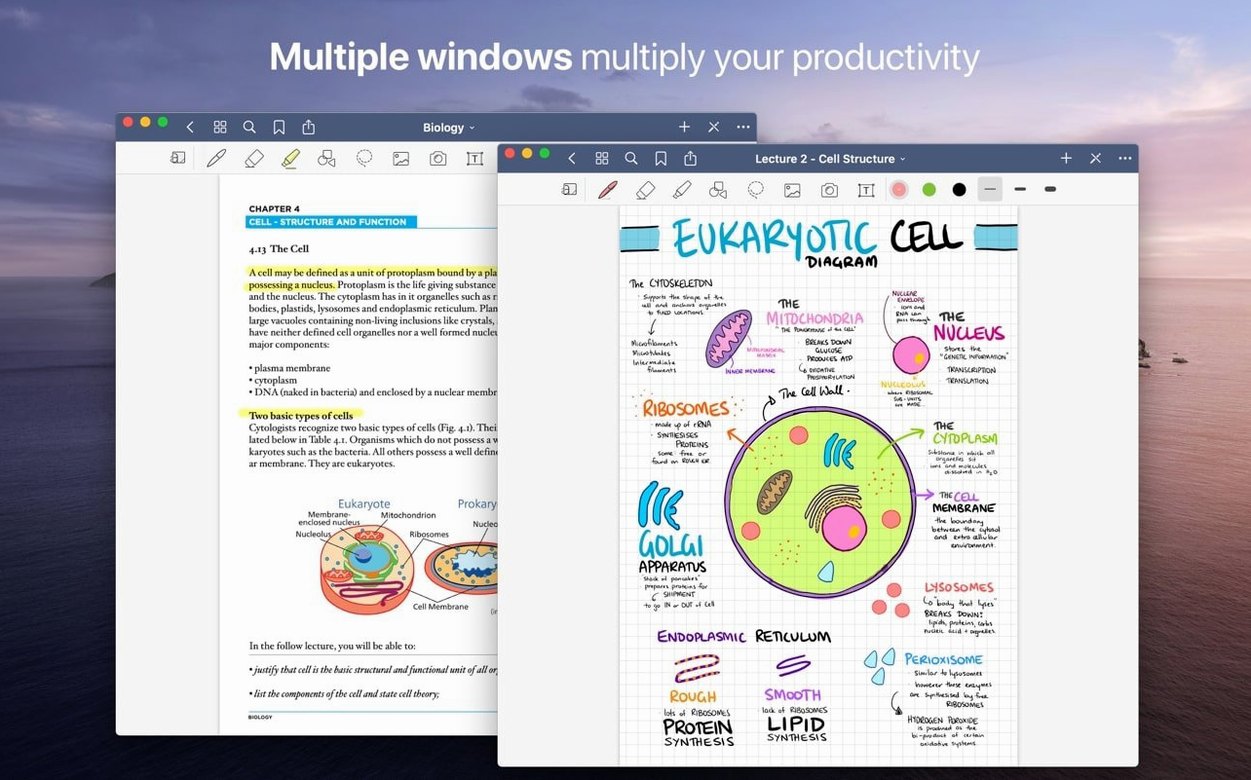GoodNotes — closer look 3 GoodNotes view 3 on macOS