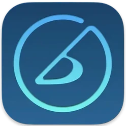 iReal Pro icon artwork