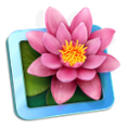 LilyView Dock icon