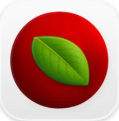 Lingon 10 icon artwork