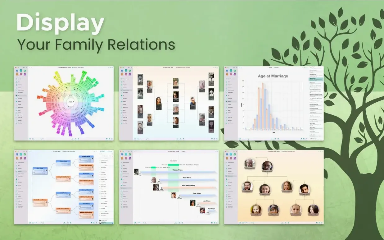 MacFamilyTree — closer look 3 MacFamilyTree view 3 on macOS