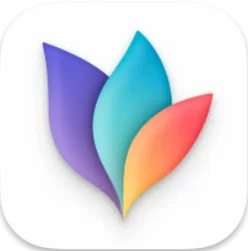 MindNode icon artwork