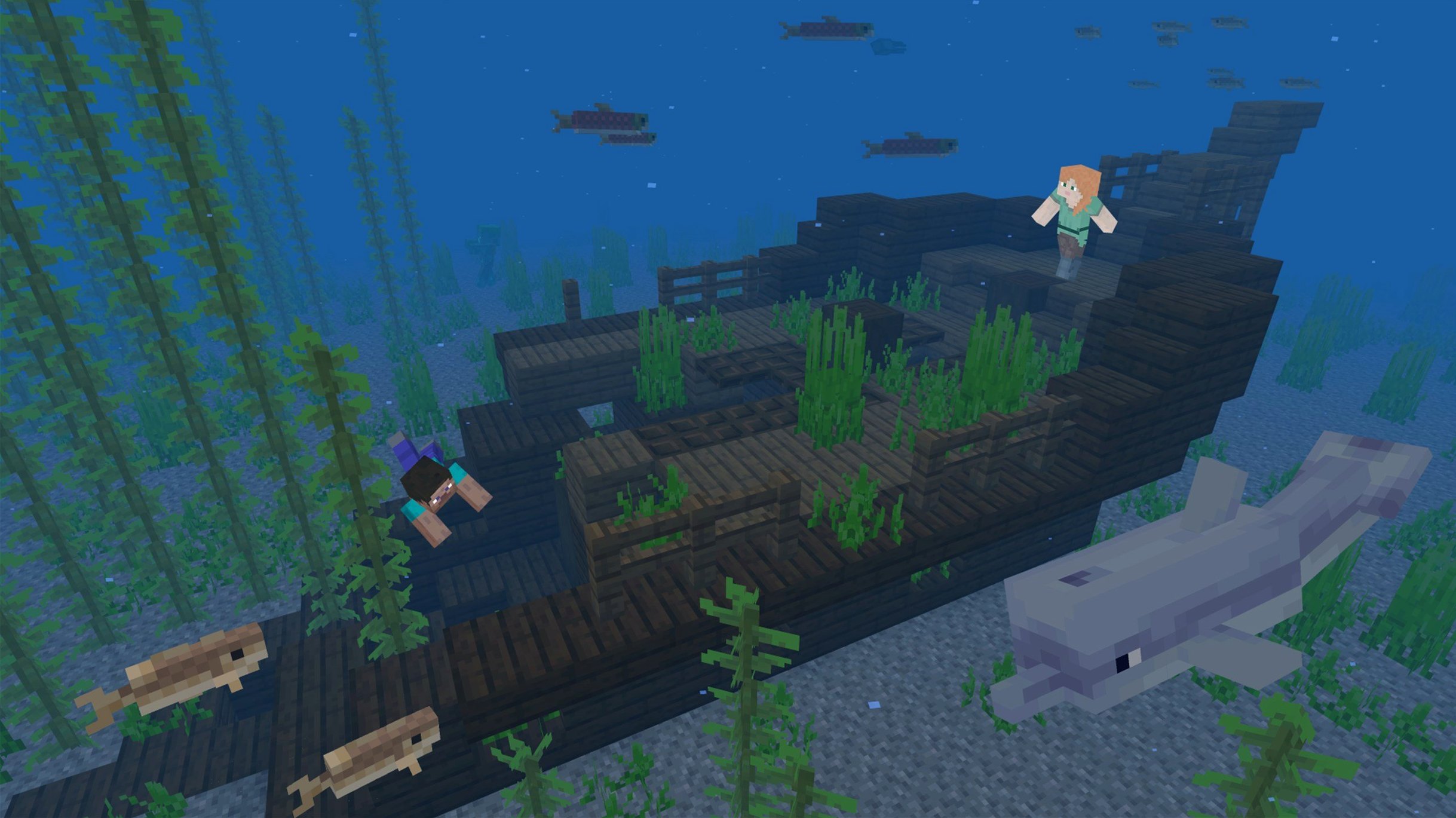 Minecraft — closer look 3 Minecraft view 3 on macOS
