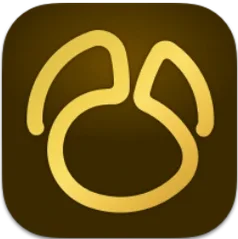 Navicat Premium icon artwork