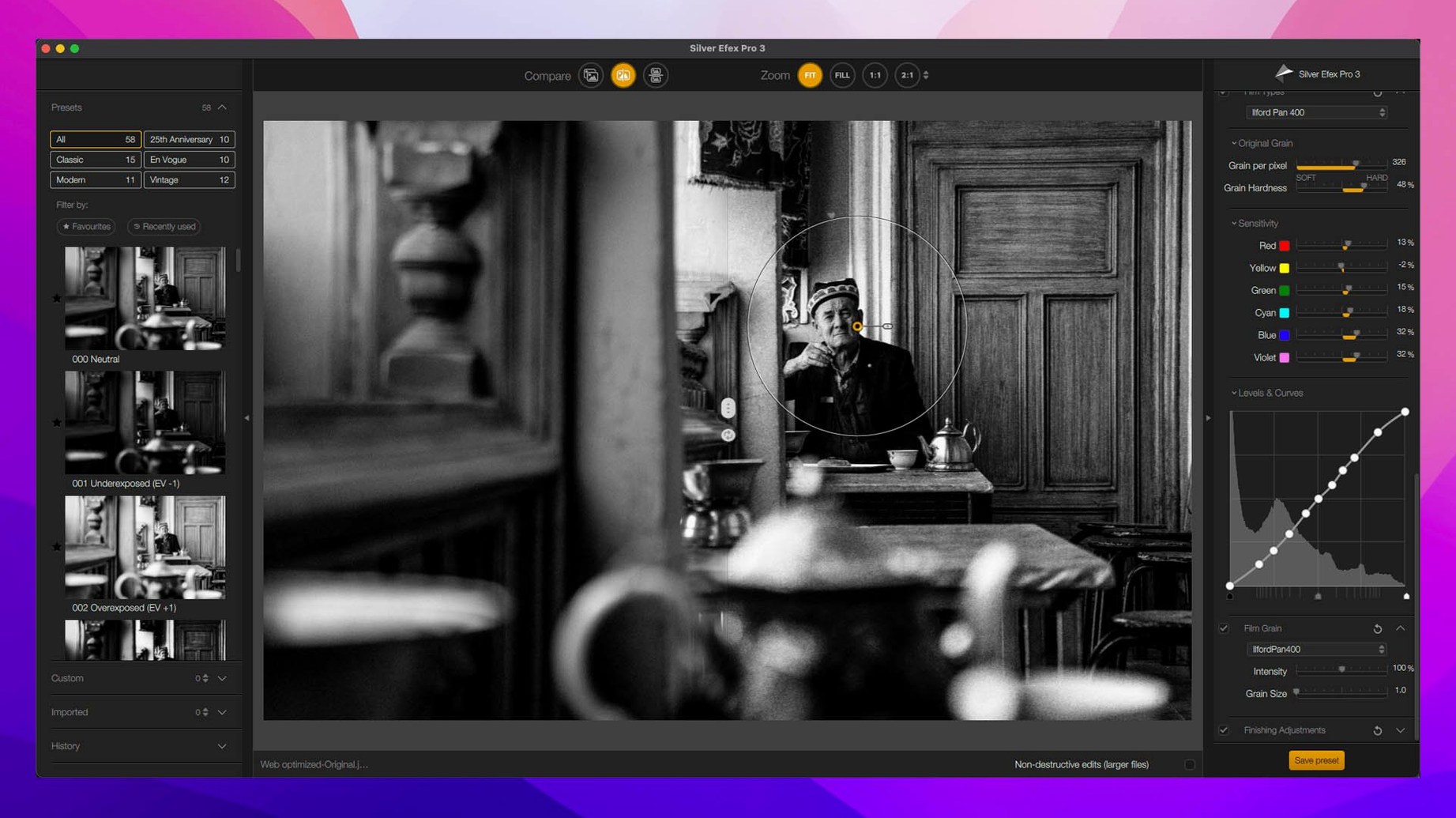 Nik Collection — closer look 2 Nik Collection view 2 on macOS
