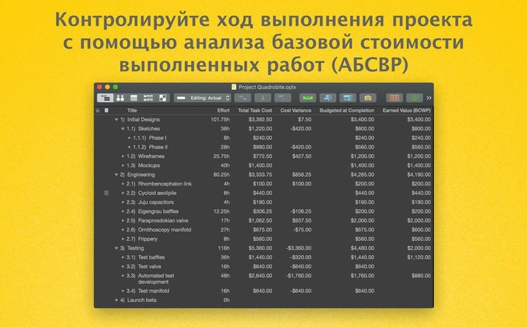 OmniPlan Pro showcase 4 OmniPlan Pro capture 4