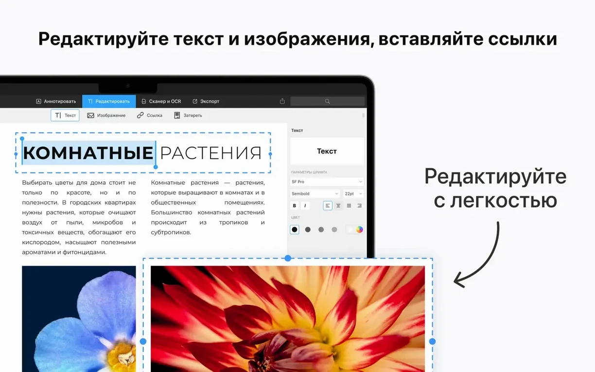 PDF Expert showcase 3 PDF Expert capture 3