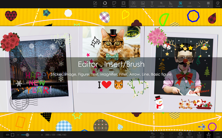 PhotoScape X Pro — closer look 4 PhotoScape X Pro view 4 on macOS