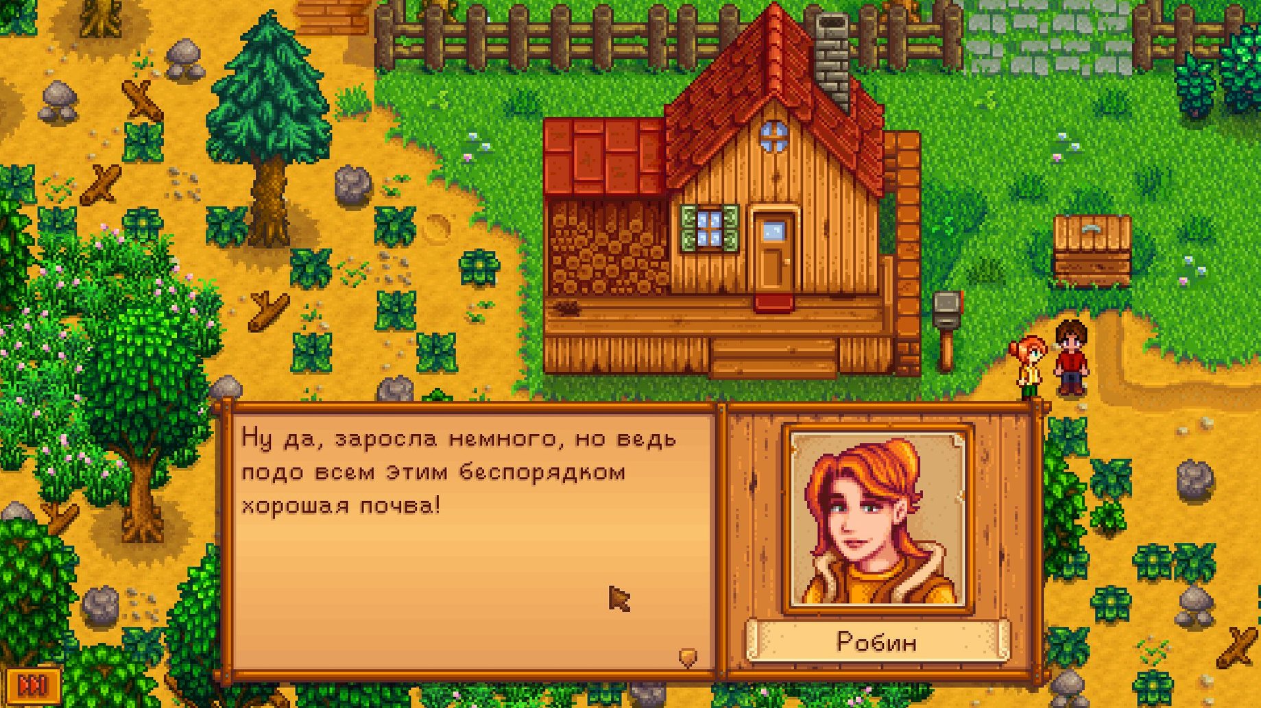 Stardew Valley showcase 3 Stardew Valley capture 3