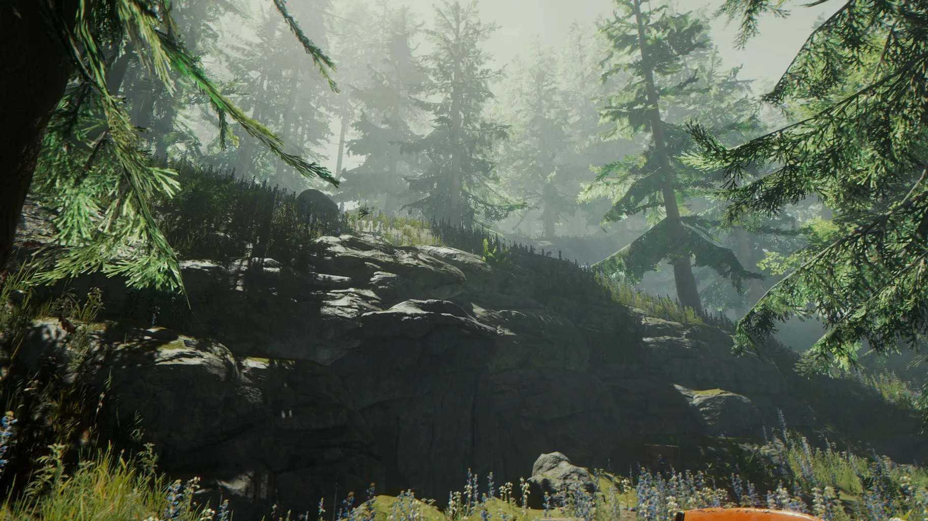 The Forest — closer look 5 The Forest view 5 on macOS
