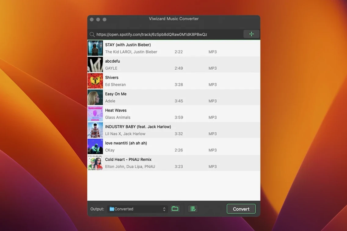 ViWizard Spotify Music Converter — closer look 1 viwizard spotify music converter mac, main view