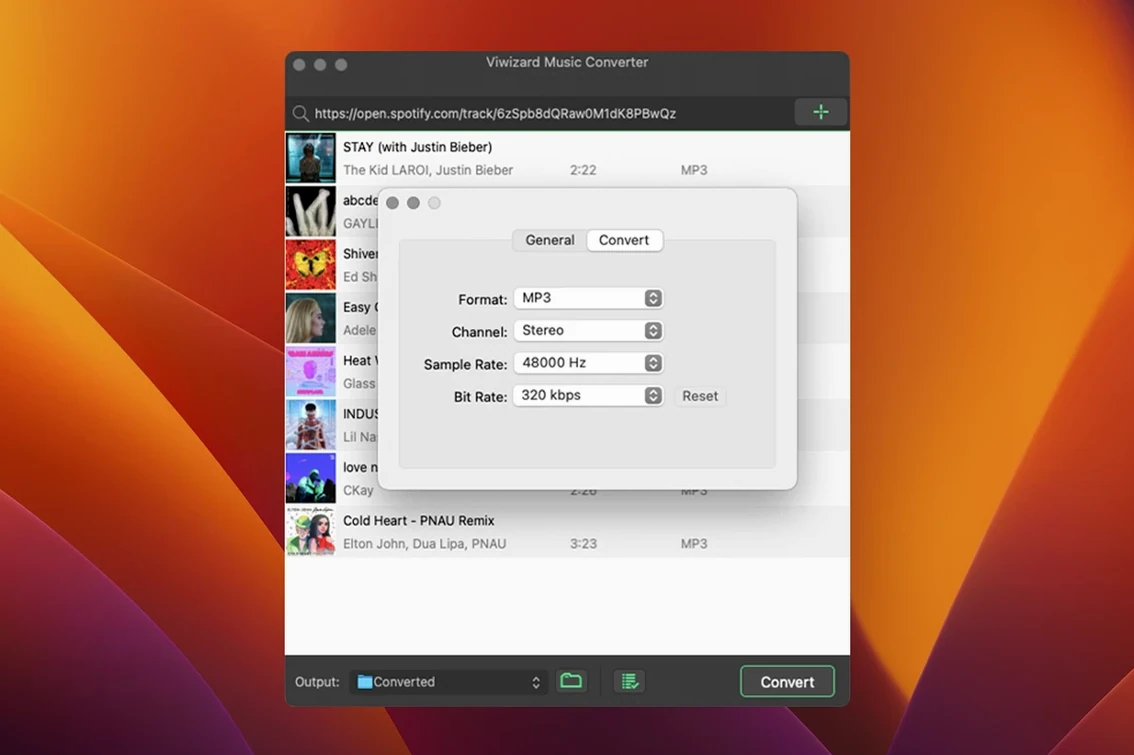 ViWizard Spotify Music Converter — closer look 2 ViWizard Spotify Music Converter view 2 on macOS