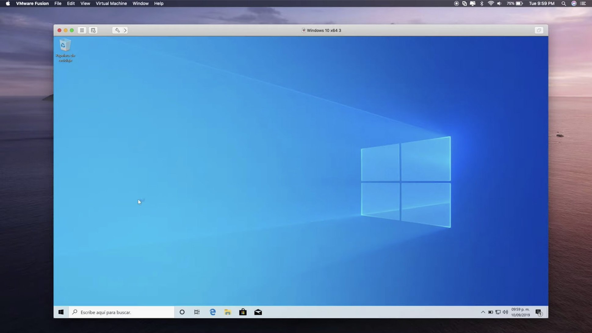 VMware Fusion Pro — closer look 2 VMware Fusion Pro view 2 on macOS