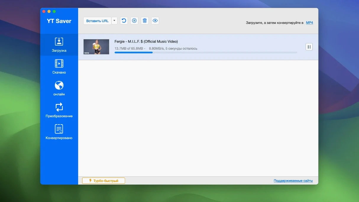 YT Saver — closer look 2 YT Saver view 2 on macOS